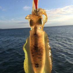 ウネリの中エギング