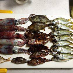 ファミリーフィッシング