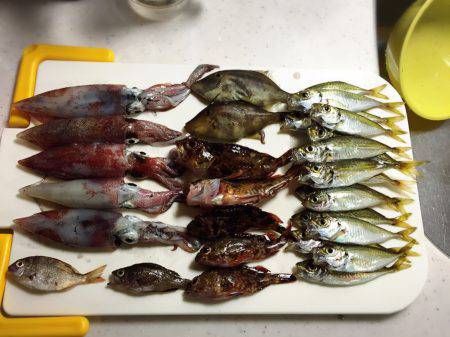 ファミリーフィッシング