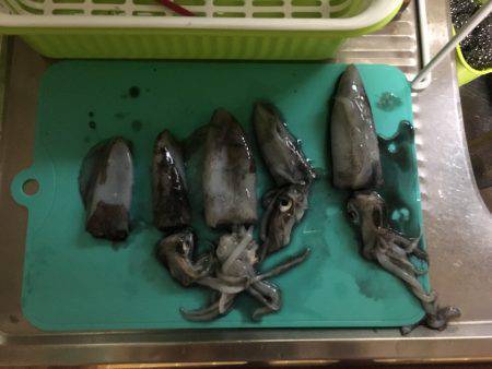 サイトエギング