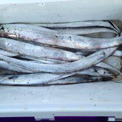 お盆休み駆け込み釣行