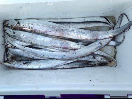 お盆休み駆け込み釣行