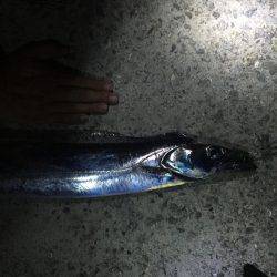 ショアジギング