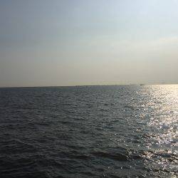 パーラダァイスでした（≧∇≦）