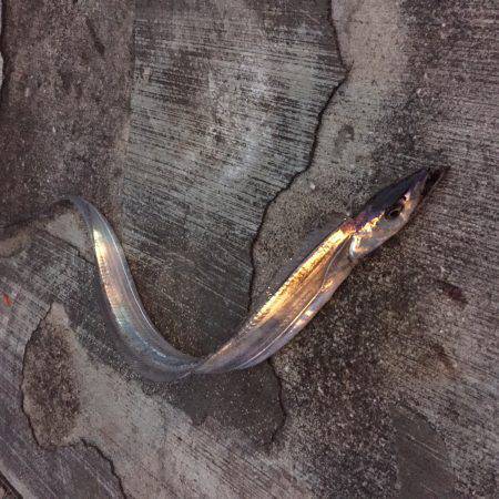 朝のウォーミングアップに^o^