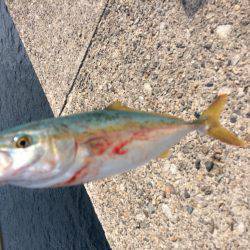 久しぶりの釣り