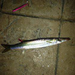 スタートはやっぱり外道