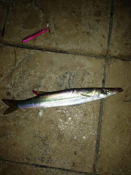 スタートはやっぱり外道