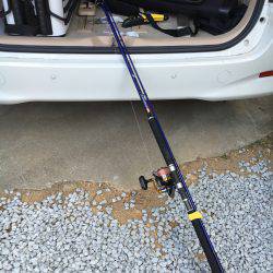 田尻の釣り堀、ほとんどの時間帯、日陰で快適