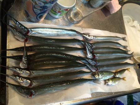 釣れる釣りのはずが、、、