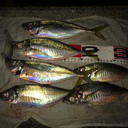 キスがだめでもアジがある。