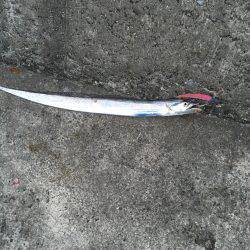 ハード釣行2日目!!