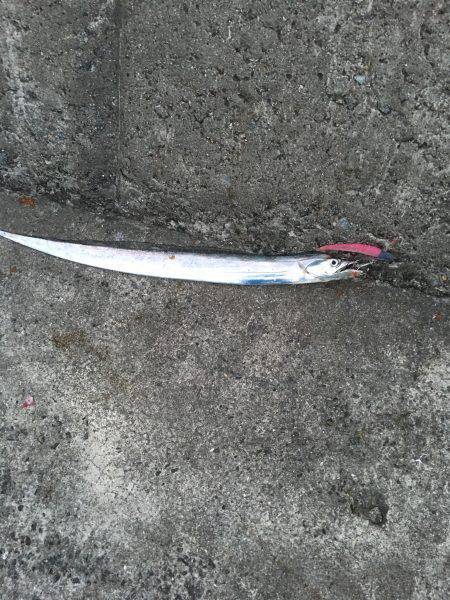 ハード釣行2日目!!