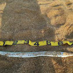 立岩サーフ ダツゲーム