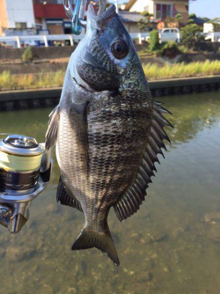 トップゲームは中毒化しやすい