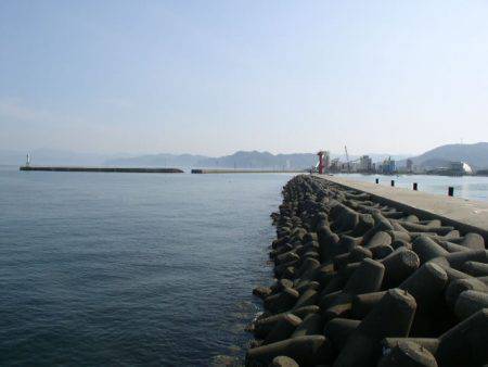 津名の太刀魚調査