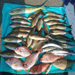 2016夏、大海原に出航してみた