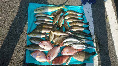 2016夏、大海原に出航してみた