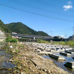 久しぶりの渓流釣り