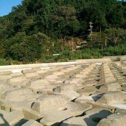 2日連続の渓流釣り