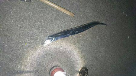 2016夏の夜釣り2夜連続スペシャル