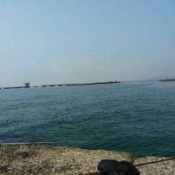 須磨西　２番周辺釣行