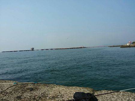 須磨西　２番周辺釣行