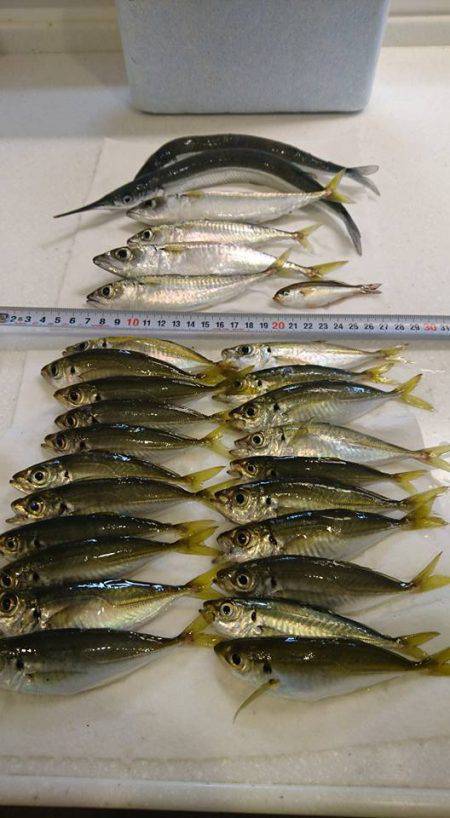 まったりサビキ