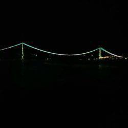 好釣果を期待して久しぶりの釣りが・・・