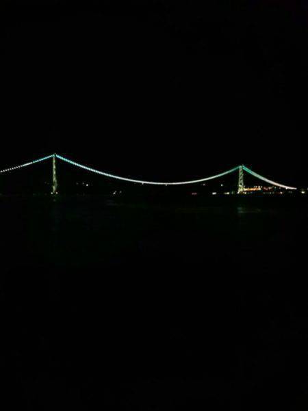 好釣果を期待して久しぶりの釣りが・・・