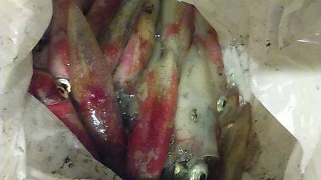 ライトエギング