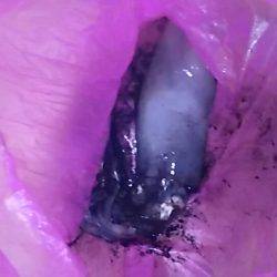 ライトエギング