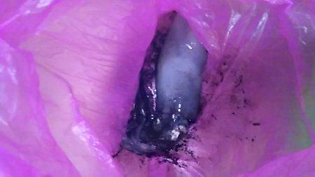 ライトエギング