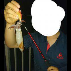 剣先美味しそう！