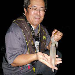 胴長２０㎝のケンサキヒット！