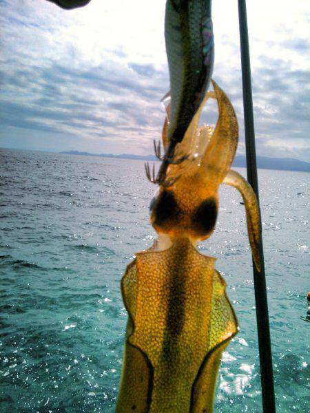 風に負けるな♪