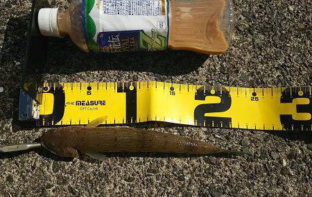 E・S・O！E・S・O！