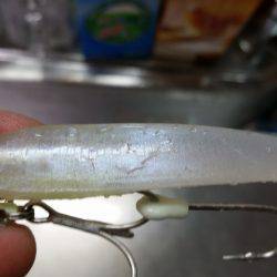 タチウオ、高活性。でも雷雨が…