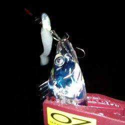 爆釣、夏タチ！