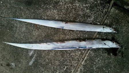 神戸空港。今朝はやや渋めか。