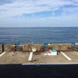 群れはどこに？