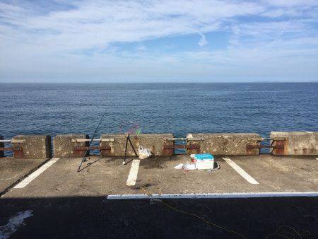 群れはどこに？