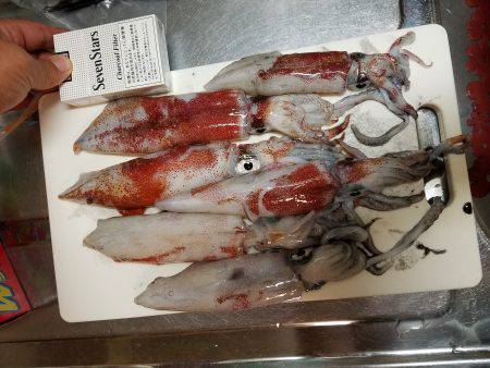 まあまあいいサイズ。