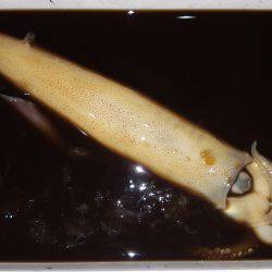 期待を裏切り…