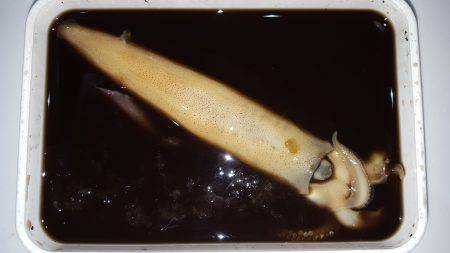 期待を裏切り…