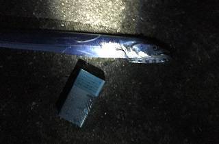 ＬＳＧでタチウオ