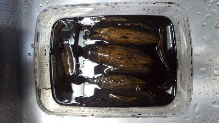 エギング調査第２段