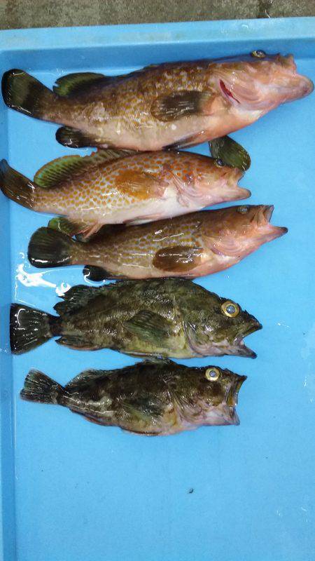 ロックフィッシュパーティ