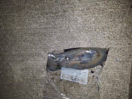 強風の中にて。