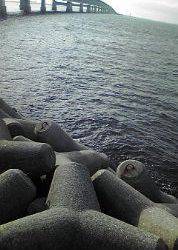 ジグサビキのちワインド！